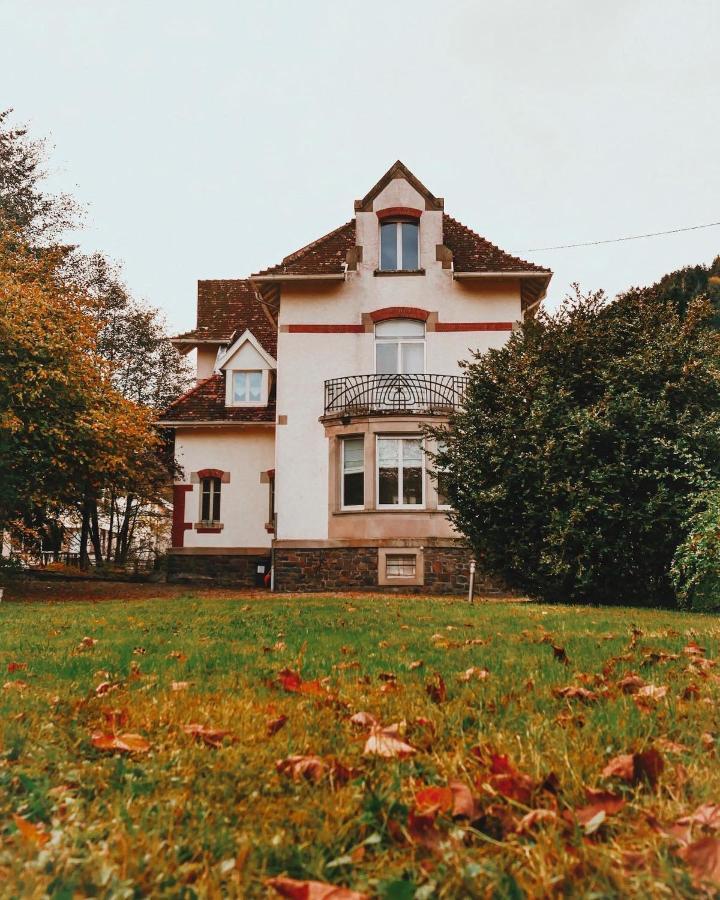 La Maison Du Markstein Linthal Exteriör bild